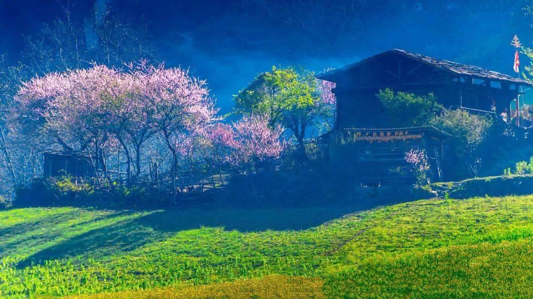 我是孙二谋